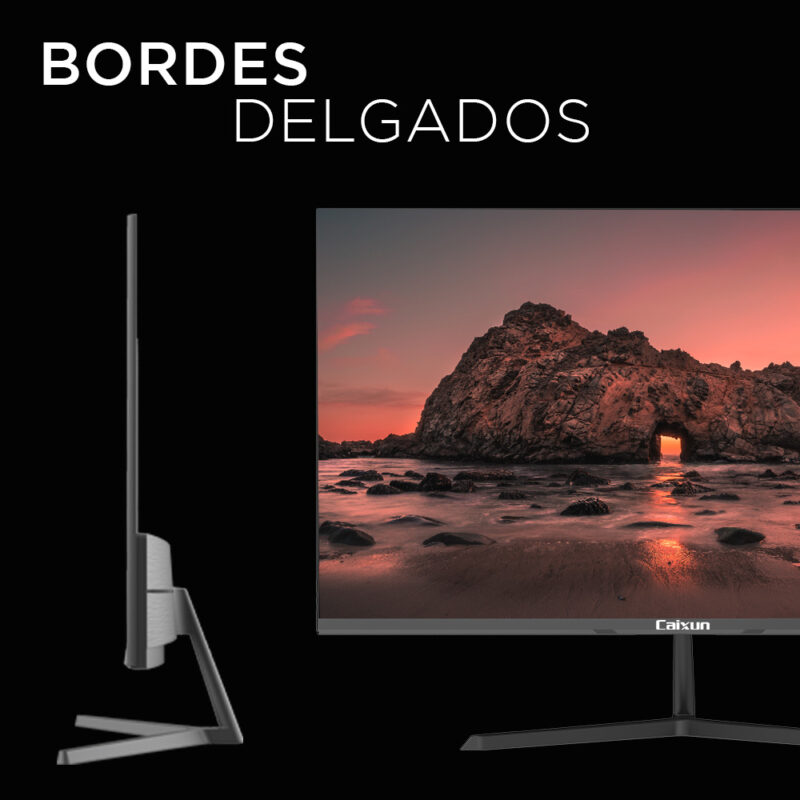 Monitor 22” FHD oficina